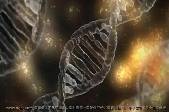 多囊卵巢不孕在南华大学附属第一医院做三代试管婴儿指南！怀孕成功率多少供您参考