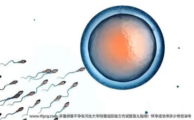 多囊卵巢不孕在河北大学附属医院做三代试管婴儿指南！怀孕成功率多少供您参考