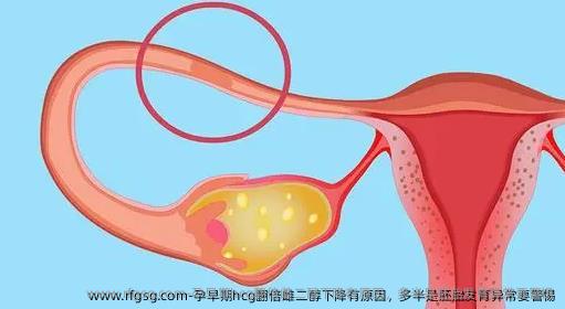 孕早期hcg翻倍雌二醇下降有原因，多半是胚胎发育异常要警惕