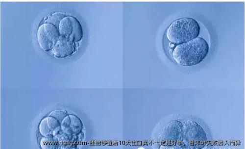 胚胎移植后10天出血真不一定是好事，着床or失败因人而异