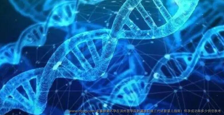 多囊卵巢不孕在滨州医学院附属医院做三代试管婴儿指南！怀孕成功率多少供您参考