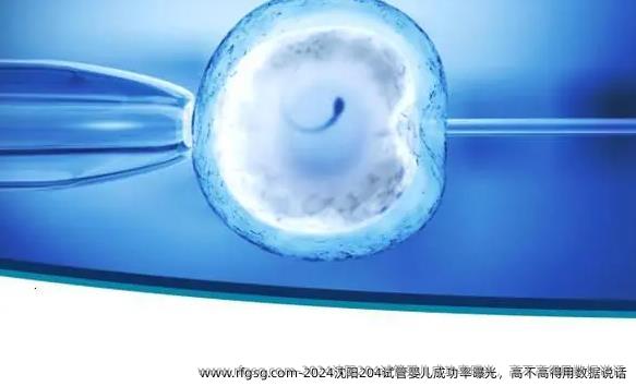 2024沈阳204试管婴儿成功率曝光，高不高得用数据说话