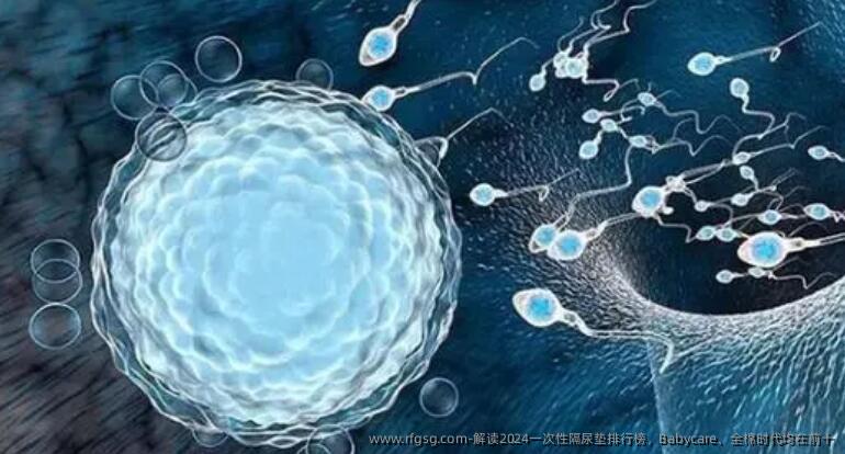 解读2024一次性隔尿垫排行榜，Babycare、全棉时代均在前十