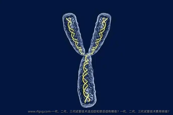 一代、二代、三代试管技术适应症和禁忌症有哪些？一代、二代、三代试管技术费用明细？