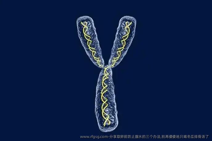 分享取卵前防止腹水的三个办法,别再傻傻地只喝冬瓜排骨汤了