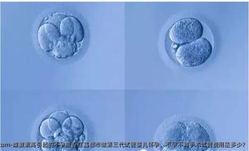 雌激素高引起的不孕能否在昌都市做第三代试管婴儿怀孕，不孕不育手术试管费用是多少?