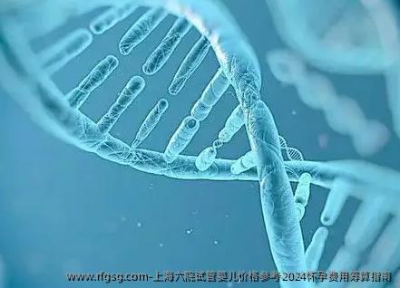 上海六院试管婴儿价格参考2024怀孕费用筹算指南