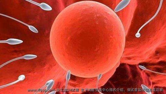 浙江2024试管  生子试管生殖中心排名介绍，做试管如何提高成功率