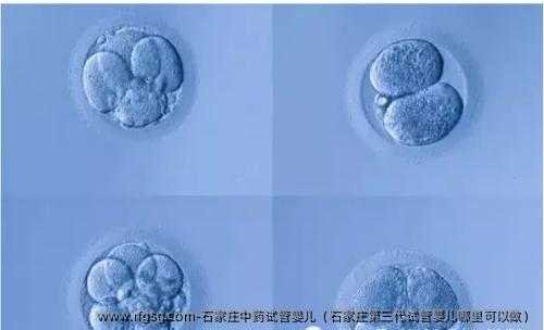 石家庄中药试管婴儿（石家庄第三代试管婴儿哪里可以做）