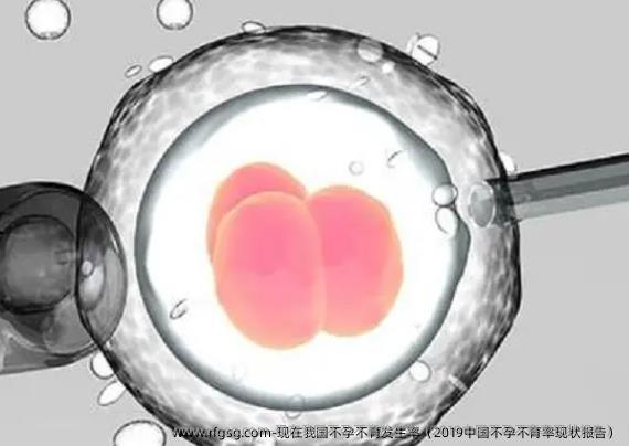 现在我国不孕不育发生率（2014国内不孕不育率现状报告）