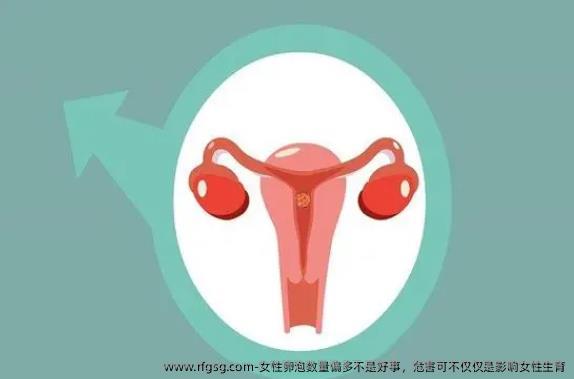 女性卵泡数量偏多不是好事，危害可不仅仅是影响女性生育