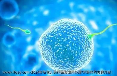 2024年新生儿医疗保险如何办理?求具体的办理流程！