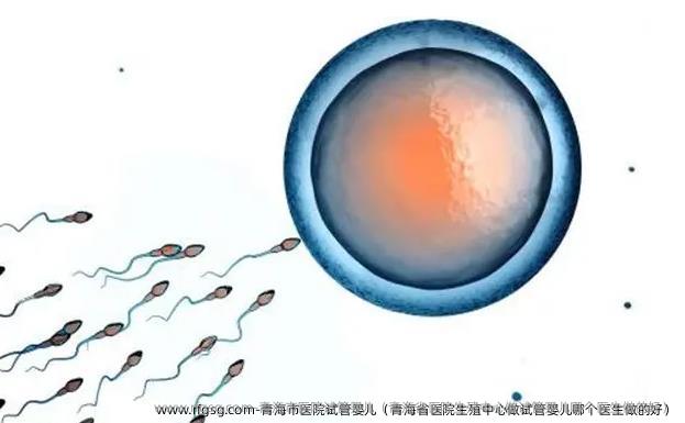 青海市医院试管婴儿（青海省医院生殖中心做试管婴儿哪个医生做的好）