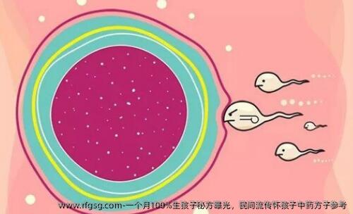 一个月100%生孩子秘方曝光，民间流传怀孩子中药方子参考