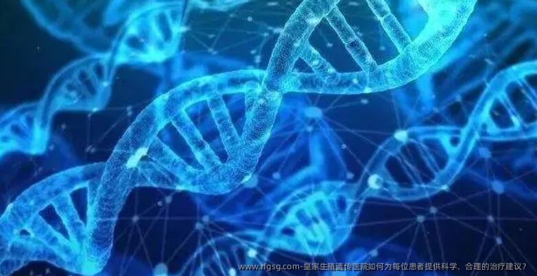 皇家生殖遗传医院如何为每位患者提供科学、合理的治疗建议？