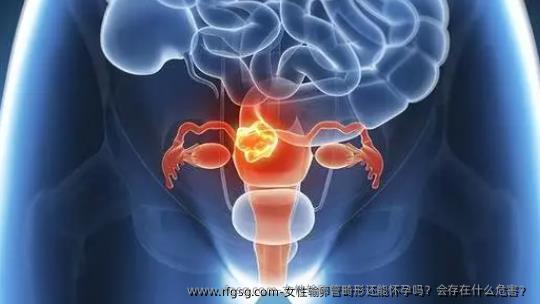 女性输卵管畸形还能怀孕吗？会存在什么危害？