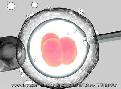 2025年广西试管婴儿是否已经纳入了医保体系？