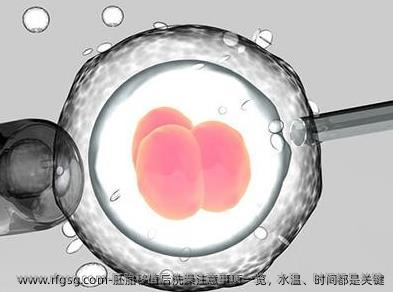 胚胎移植后洗澡注意事项一览，水温、时间都是关键