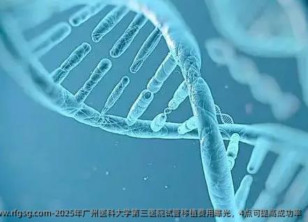 2025年广州医科大学第三医院试管移植费用曝光，4点可提高成功率