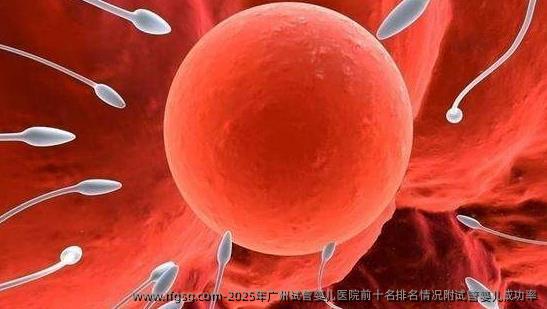 2025年广州试管婴儿医院前十名排名情况附试管婴儿成功率