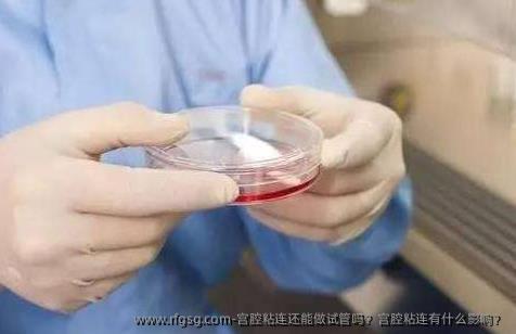 宫腔粘连还能做试管吗？宫腔粘连有什么影响？