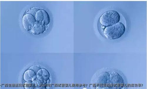 广西生殖医院试管婴儿？2024年广西试管婴儿费用参考？广西不同年龄段试管婴儿的成功率？