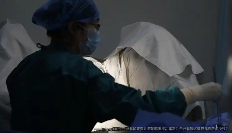 贵州省试管婴儿医院哪家成功率高？贵州省做试管婴儿费用多少钱？