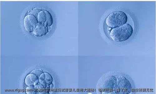 2025年兰州医院试管婴儿费用大揭秘！每项开销一目了然，助你预算无忧