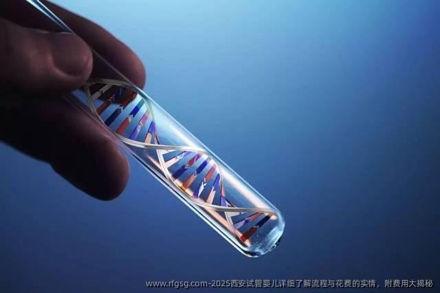 2025西安试管婴儿详细了解流程与花费的实情，附费用大揭秘