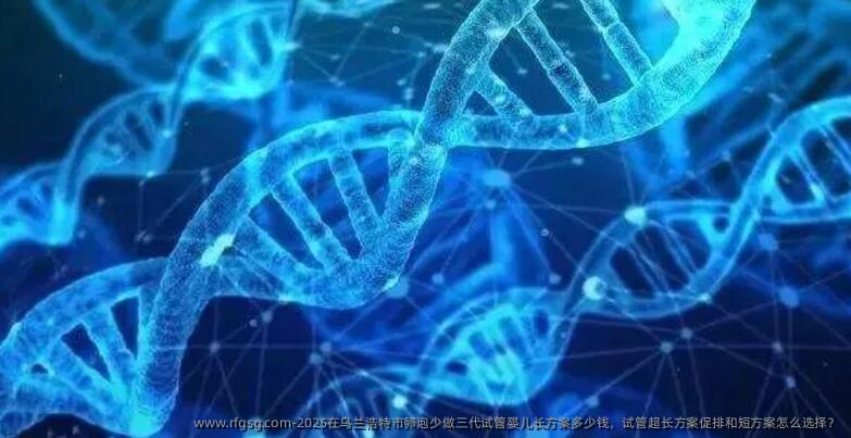 2025在乌兰浩特市卵泡少做三代试管婴儿长方案多少钱，试管超长方案促排和短方案怎么选择？