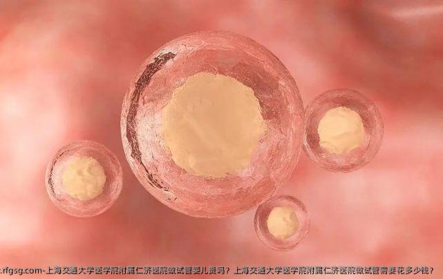 上海交通大学医学院附属仁济医院做试管婴儿贵吗？上海交通大学医学院附属仁济医院做试管需要花多少钱？