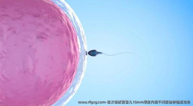 首次做试管婴儿10mm厚度内膜不同胚胎移植成功率