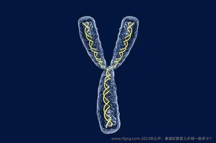 2023年公开：泰国试管婴儿价格一般多少？