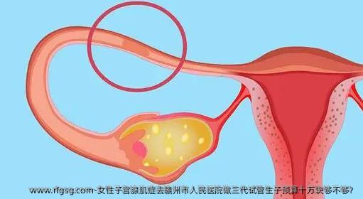 女性子宫腺肌症去赣州市人民医院做三代试管生子预算十万块够不够？