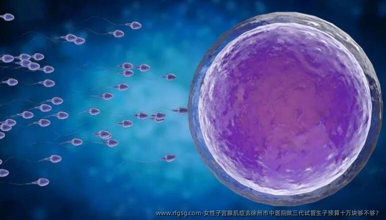 女性子宫腺肌症去徐州市中医院做三代试管生子预算十万块够不够？