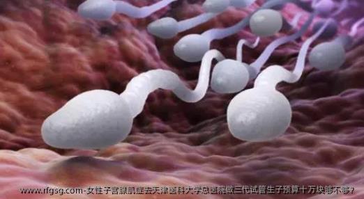 女性子宫腺肌症去天津医科大学总医院做三代试管生子预算十万块够不够？