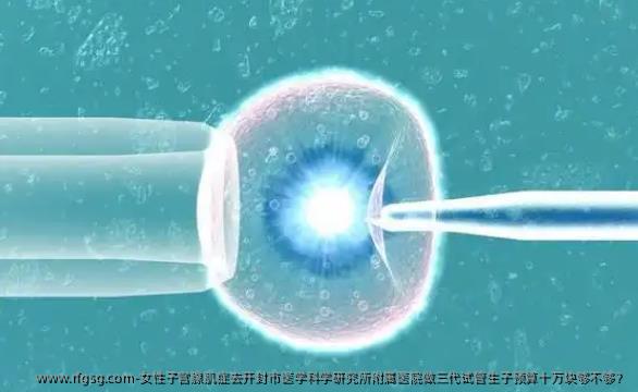 女性子宫腺肌症去开封市医学科学研究所附属医院做三代试管生子预算十万块够不够？