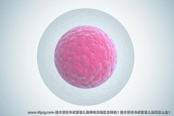 图木舒克市试管婴儿费用和流程是怎样的？图木舒克市试管婴儿医院怎么选？