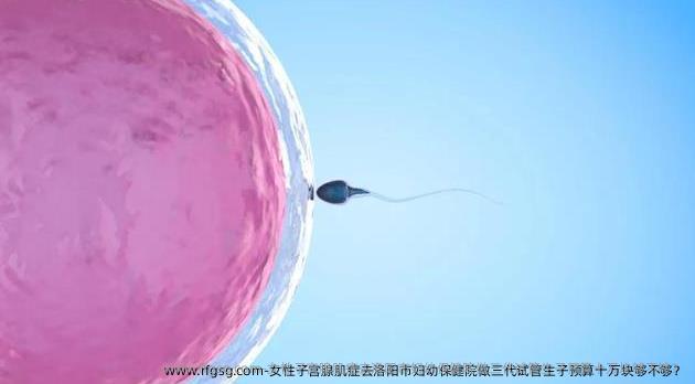 女性子宫腺肌症去洛阳市妇幼保健院做三代试管生子预算十万块够不够？