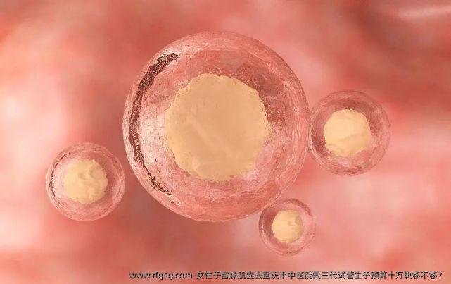 女性子宫腺肌症去重庆市中医院做三代试管生子预算十万块够不够？