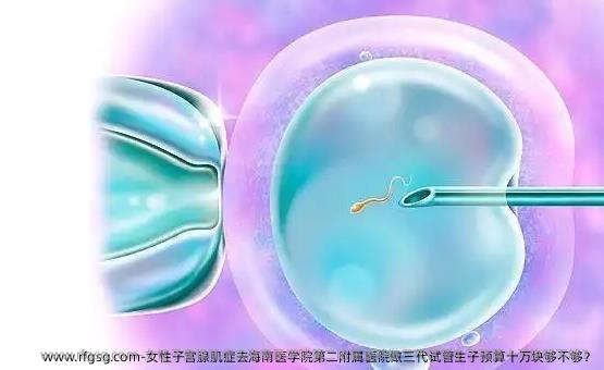 女性子宫腺肌症去海南医学院第二附属医院做三代试管生子预算十万块够不够？