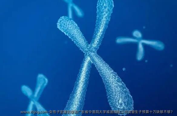 女性子宫腺肌症去广东省中医院大学城医院做三代试管生子预算十万块够不够？