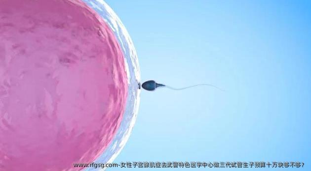 女性子宫腺肌症去武警特色医学中心做三代试管生子预算十万块够不够？