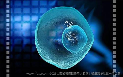 2025山西试管医院费用大起底！明细清单让你一清二楚