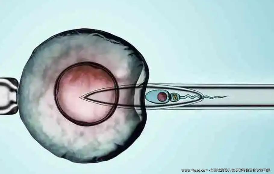 国内试管婴儿告诉你移植后的这些问题