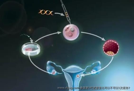 泰国第3代试管婴儿可以不可以1次成功？