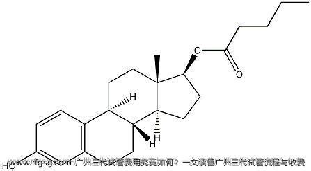 广州三代试管费用究竟如何？一文读懂广州三代试管流程与收费